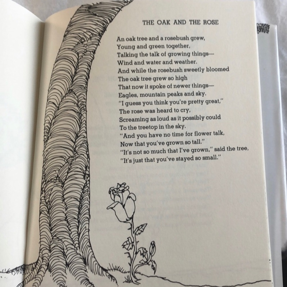 A Light In the Attic - Shel Silverstein - Book - Picture 4 of 4
